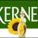 “Кернел” договорился с кредиторами об отсрочке погашения кредитных обязательств на $600 млн в 2024-м и 2027гг