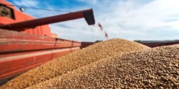 За 2022 год Украина экспортировала агропродукции на более 20 млрд долларов – Минагрополитики