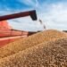 За 2022 год Украина экспортировала агропродукции на более 20 млрд долларов – Минагрополитики