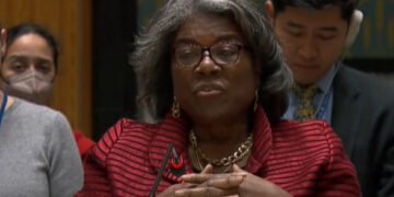 США в ООН: Иран и КНДР не отказались от поставок оружия в РФ