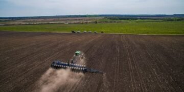 Посевная-2023: в Минагрополитики прогнозируют переориентацию на масличные культуры