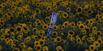 Доклад: из-за войны РФ против Украины число пострадавших от кассетных боеприпасов увеличилось в 8 раз