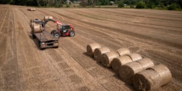 ЕС не продлил эмбарго на импорт зерна из Украины