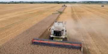 Польша призвала Еврокомиссию продолжить запрет на импорт украинского зерна