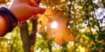 Синоптики дали прогноз погоды в Украине на неделю