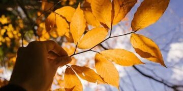 “Сюрпризы осени”: какая погода в Украине будет в среду?