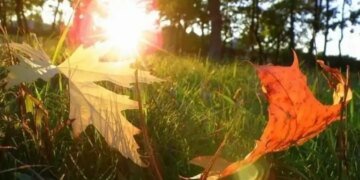 Прогноз погоды в Украине: что ожидать в четверг?