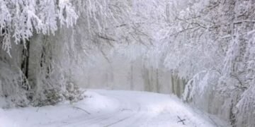 Зима будет тяжелой: синоптик рассказал, когда ударят морозы и налетят снежные бури