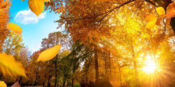 Синоптики рассказали, какая погода в Украине будет в пятницу