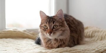 Украинцам рассказали, какая погода будет на выходных