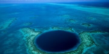 У Маріанській западині знайшли дивовижний вірус