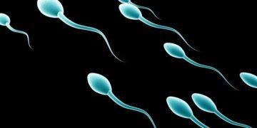 Банк сперми оголосив конкурс серед студентів на найшвидші сперматозоїди: що отримають учасники