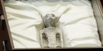 В Мексиці уфолог показав владі тіла прибульців, яким може бути 1000 років. ФОТО, ВІДЕО