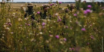 Скільки місяців активних боїв ще мають ЗСУ для руху вперед: оцінка ексдиректора ЦРУ