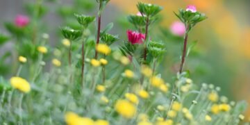 Діденко: 14-15 вересня в Україну прийде холодний атмосферний фронт