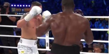 Бокс: промоутер Дюбуа заявил о поданной апелляции на результат боя против Усика