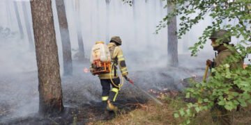 На Харьковщине вражеский обстрел спровоцировал масштабный лесной пожар. Выгорело 5 га леса