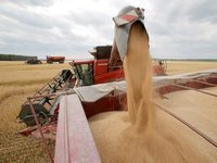 Словакия запретила импорт агропродукции из Украины до конца года