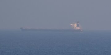 Украина начала экспортировать зерно через порты Хорватии