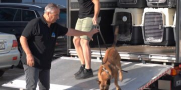 В Украину прибыла третья партия служебных собак из Европы