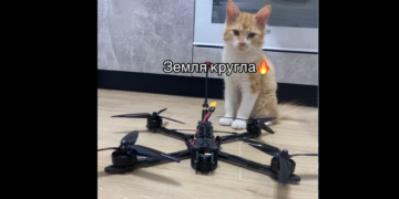 Врятоване на Каховській ГЕС руде кошеня зібрало три мільйони на дрон для ЗСУ в прямому ефірі. ВІДЕО