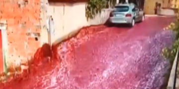 У Португалії річка з вина затопила місто Анадія. ВІДЕО