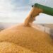 Еврокомиссия не продлила запрет на украинские зерновые в Польшу, Болгарию, Румынию, Венгрию и Словакию при соблюдении Украиной определенных мер