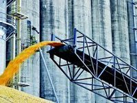 Румыния введет запрет на ввозз украинской агропродукции на 30 дней – премьер-министр