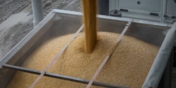 Украина надеется поставить на экспорт 1 млн тонн зерна в октябре по новому черноморскому маршруту