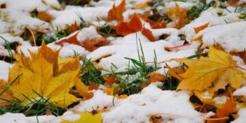 Прогноз погоды в Украине на выходные: где будет снег?