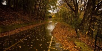 Погода в Украине 25 октября: где будет сильный дождь?