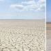 Каховское водохранилище зарастает дремучим лесом. ВИДЕО