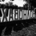 В оккупированной Волновахе застрелили семью из 9 человек, в том числе детей: появились жуткие подробности. ФОТО
