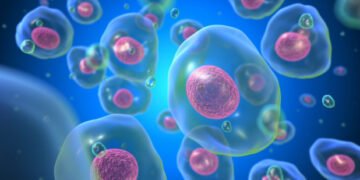 Понад 230 млн людей на Землі мають генетичну ваду “вибухової” смерті клітин