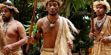 На Соломонових островах школярі почали масово збільшувати пеніси