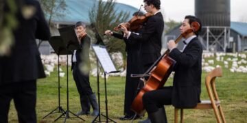 Вперше у світі: симфонічний оркестр влаштував шоу для декількох тисяч курей. ВІДЕО