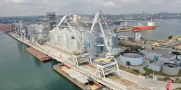 Украина экспортировала в этом году 10,5 млн тонн зерна через Констанцу