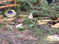 С начала полномасштабного вторжения РФ совершила 2,5 тыс экологических преступлений – Минреинтеграции