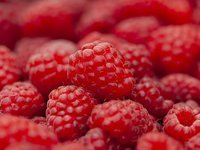 Кабмин изменил правила получения грантов для садоводства, виноградарства и развития тепличного хозяйства