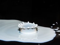 Украина в сентябре 2023г сократила экспорт молочных продуктов на 30%