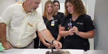 Таємнича мумія “русалки” 1900-х років із пазурами, мордою і сивиною спантеличила вчених. ФОТО