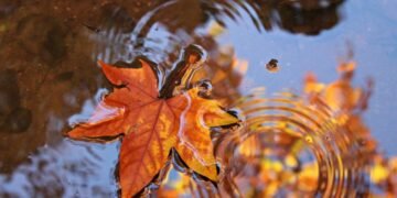 Прогноз погоды на 1 ноября: где в Украине ожидаются дожди?