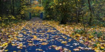 В Украину придет антициклон: какая погода будет 2 ноября?