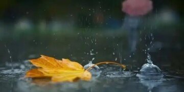 Украину накроют дожди: где ждать непогоду