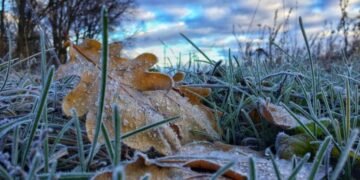 В Украине ожидаются заморозки: прогноз погоды на 10 ноября