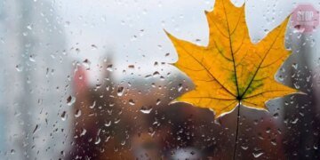 “Осень покажет свой характер”: какая погода будет в Украине на выходных?