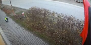 В Закарпатской области под колеса грузовика попала полуторагодовалая девочка. ВИДЕО