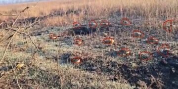 Армия РФ устанавливает мины каждый метр: видео с Запорожского направления