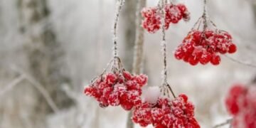 Минус 20 и много снега: народный синоптик прогнозирует суровую зиму