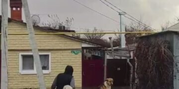 “Вода по пояс”: в Ростовской области РФ бушует стихия. ВИДЕО